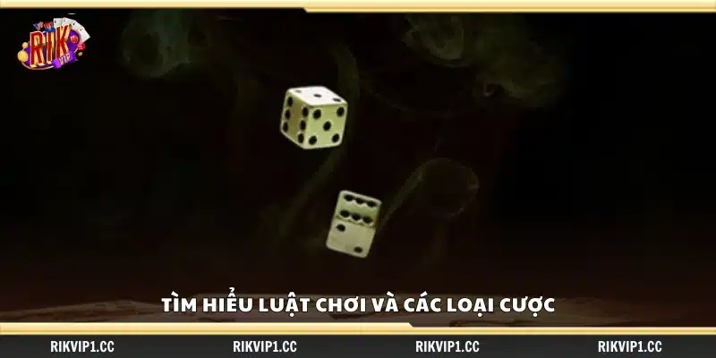 Mẹo chơi sicbo hạn chế rủi ro – Cách đặt cược an toàn cho tân thủ 2 Khám phá luật chơi và hình thức cược trong Sicbo